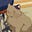 noop's avatar