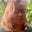 Leza's avatar