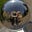 Merzmensch's avatar