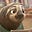 Jimm Derby's avatar