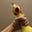 Biff Harrelsen's avatar