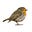 Robin Research's avatar