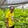 Carol Kariuki's avatar
