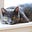 Catnip Acres's avatar