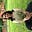 Adriane's avatar