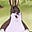 SomeGuy's avatar