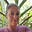 Jane Frost's avatar