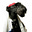 Phil Karlin's avatar