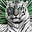 Manx Gato's avatar