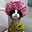 Sherri Allen's avatar