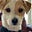 Bruce Lowy's avatar