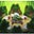 AK Froggie's avatar