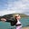 Phoebe Harrop's avatar