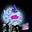 Darin Basile's avatar