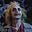 Beetlejuice's avatar