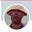 Fred Ermlich's avatar