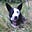 Lynwen Brown's avatar