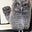 Genevieve Charbin Cerf's avatar