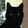 Patrick Middleton's avatar
