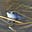 Avatar von Glasfrosch