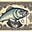 sardine trader's avatar