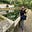 Terri Mork Speirs's avatar