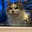 Catt Francisco's avatar