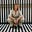 Janelle Douglas's avatar