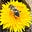 Melody Leslie's avatar