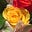 YellowRose's avatar