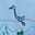 Avatar von Cygnet