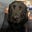 Jason Levine's avatar
