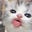 Night Allergy's avatar