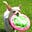Gaye Chapman's avatar