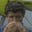 Fabio Annovazzi's avatar