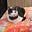 VegKat's avatar
