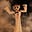 Sam Mayer's avatar