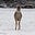 Dawn LaGrone's avatar