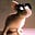 Peter Chapin's avatar