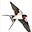 Solo Murmuration's avatar