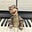 Ron88keys's avatar