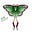 Muse4growth's avatar