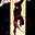 Benjamin Kelly's avatar