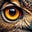 PML's Macro Focus's avatar