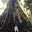 Avatar von Richard S. Roots