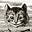 Bill Sweetman's avatar