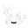 Dawes's avatar