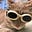 Robin Ringwald's avatar