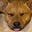 GigiLeigh's avatar