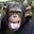 Chris Martin's avatar